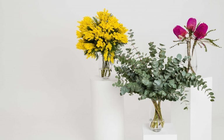 Flowers and lovers homepage scaled - Flowers and Lovers Eucalyptus stems in a glass vase between yellow mimosa and pink banksias