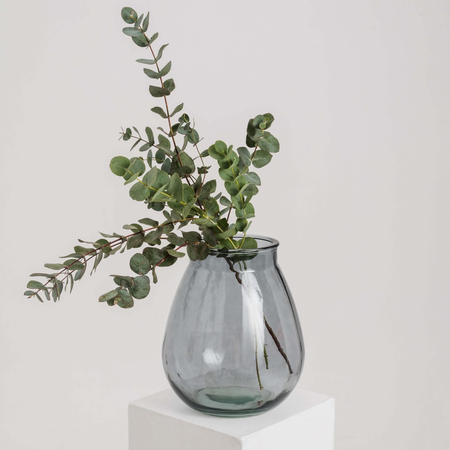 Photo by Dominyka Ambrozeviciute 1 23010 scaled