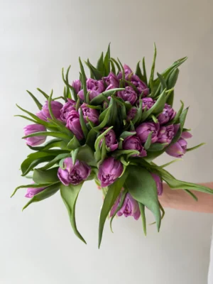 Green freshness (Kopija) (Kopija)