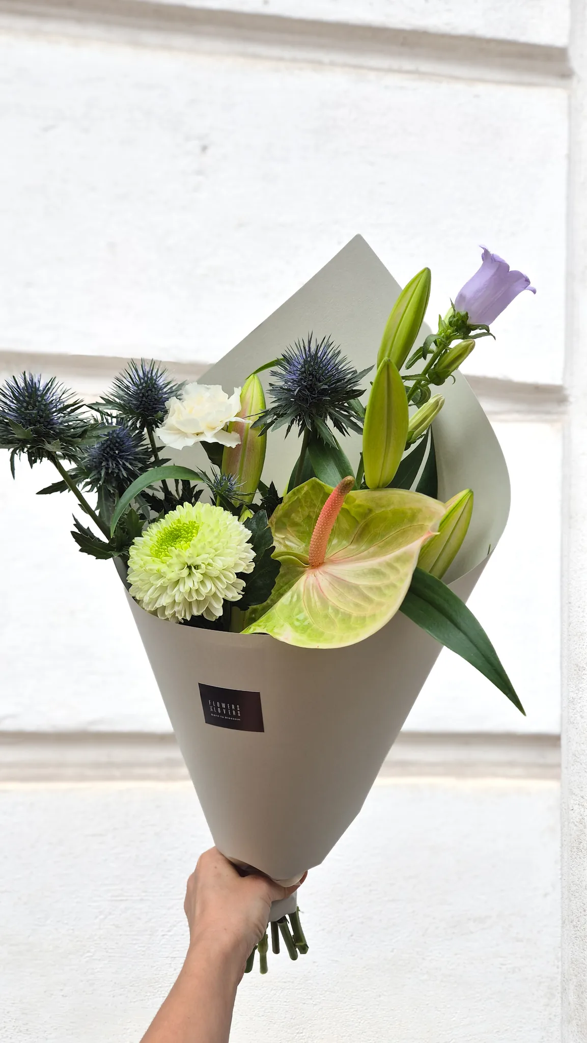 Žalias tylėjimas - Flowers and Lovers Žalias tylėjimas – puokštė su žaliu anturiu, žalia chrizantema ir balta lelija šviesiame pakavime, S dydis