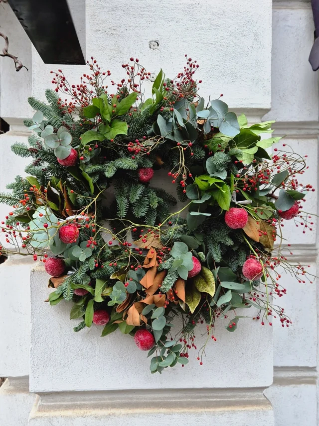 Seasonal Elegance ✨️